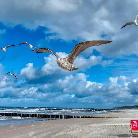 شقة 129 Z Basenem I Gratis Oraz Ogrodkiem - 5d